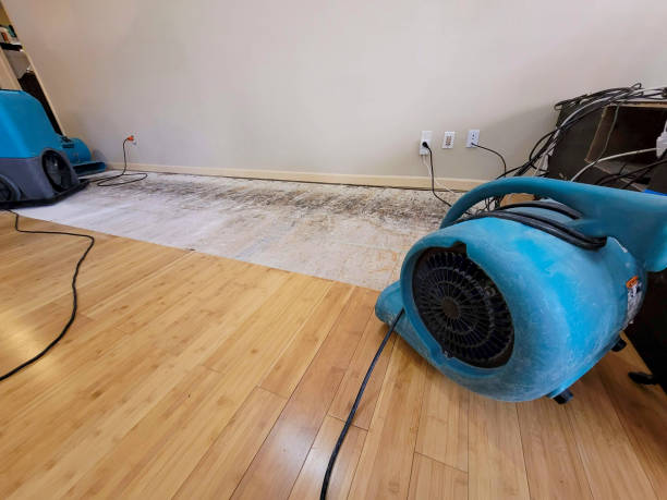 Professional Water Damage Repair technician working in Mount Pleasant, PA